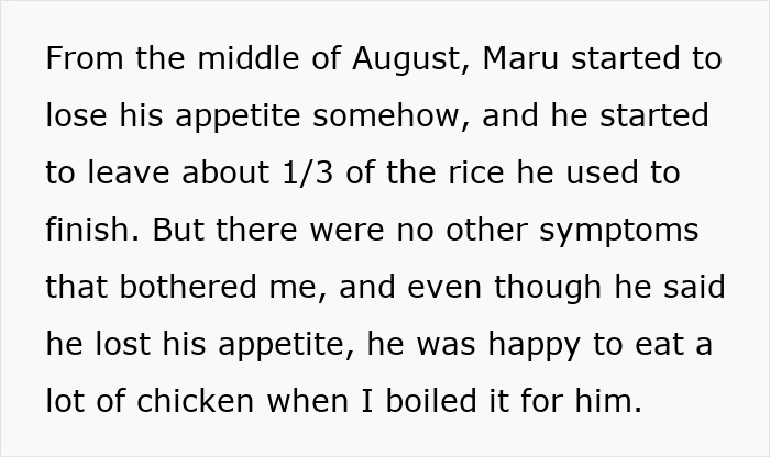 Maru famous cat passed away after losing appetite but remained happy eating boiled chicken despite decreased rice intake.