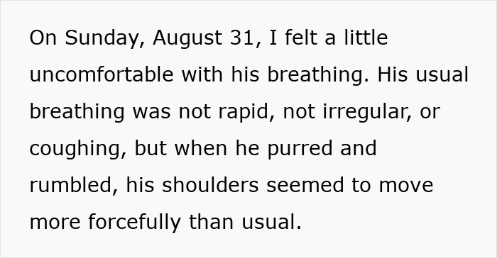 Alt text: Concern about Maru famous cat passed away as breathing changes and unusual shoulder movement noticed before loss.