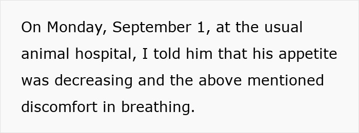 Text excerpt discussing Maru the famous cat's decreasing appetite and breathing discomfort at the animal hospital.
