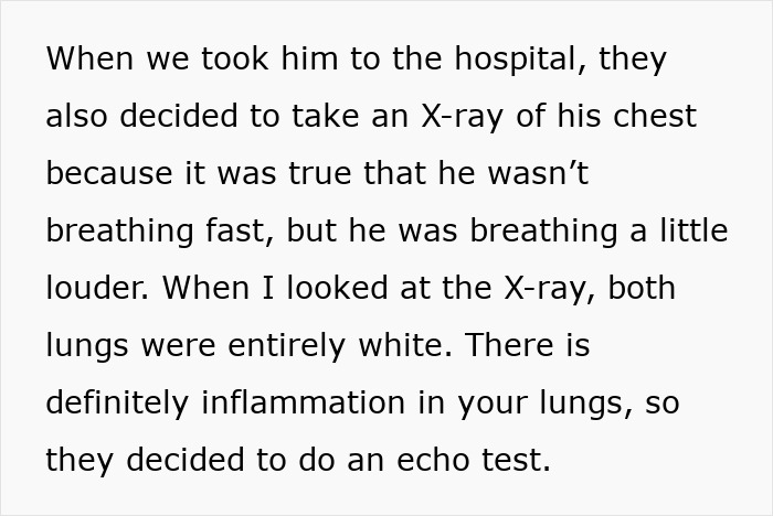 X-ray shows both lungs entirely white with inflammation, indicating serious respiratory issues for Maru famous cat passed away.