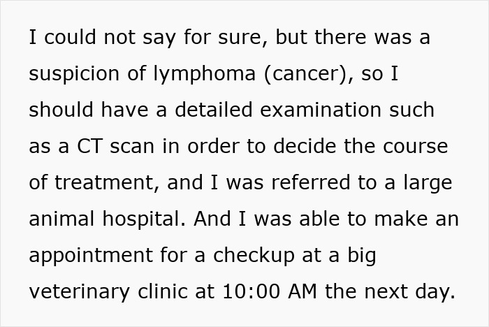 Text discussing a suspicion of lymphoma in Maru, the famous cat, and a veterinary appointment for further examination.