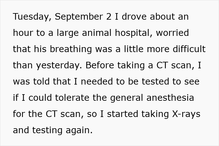 Text excerpt describing a visit to an animal hospital for tests related to a cat&rsquo;s breathing and CT scan preparation.