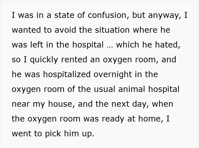 Text about caring for a sick cat in an oxygen room at a hospital to avoid leaving him hospitalized overnight.