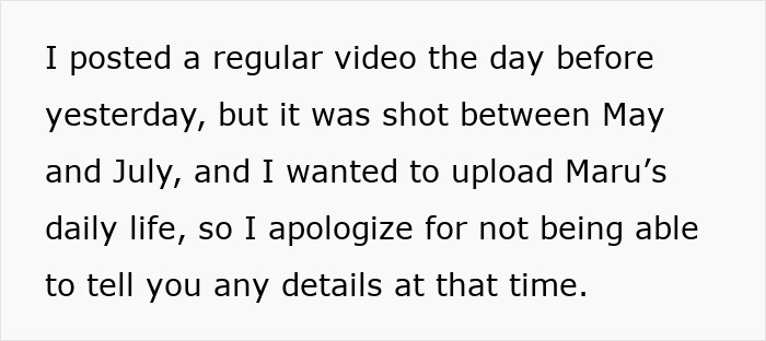 Text excerpt explaining the timing of videos about Maru, the famous cat, and apologizing for lack of details at that time.