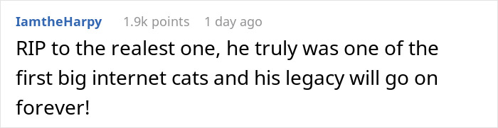 Comment expressing condolences for Maru, a famous cat who passed away, highlighting his internet legacy and lasting impact.