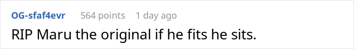 Comment mentioning RIP for Maru, the famous cat known for sitting in fitting spaces, reflecting on his passing away.