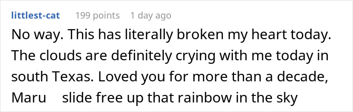 Comment expressing deep sadness over Maru the famous cat passing away, remembering over a decade of joy and love.