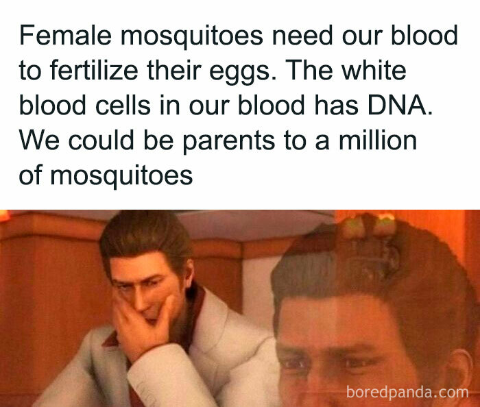Meme humor about the struggle of working in medicine showing a man contemplating mosquitoes and DNA facts.