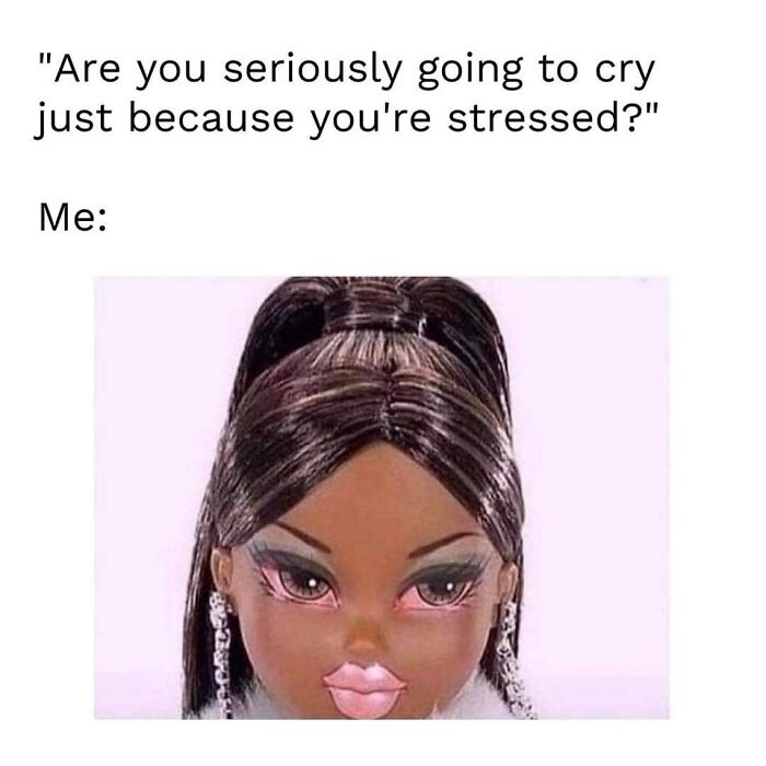 Meme showing a doll with makeup and a serious face illustrating funny and comforting mental health memes about stress.