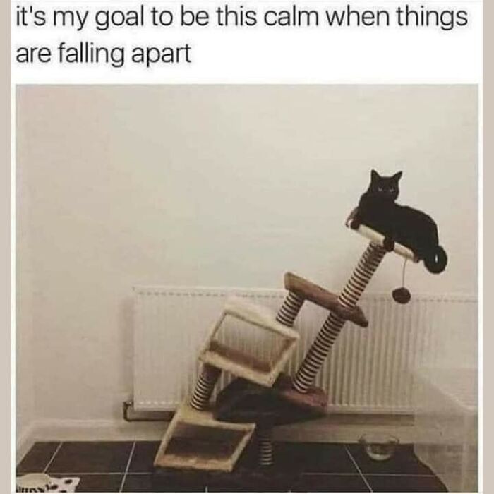 Black cat calmly sitting on a tilted cat tree in a room, illustrating funny and comforting mental health memes.