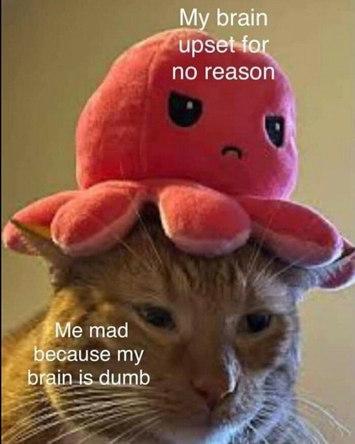 Cat wearing a red angry octopus plush hat, illustrating funny and weirdly comforting mental health memes about brain struggles.