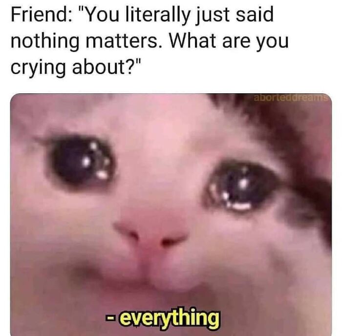 A close-up of a teary-eyed cat meme illustrating funny and weirdly comforting mental health humor.
