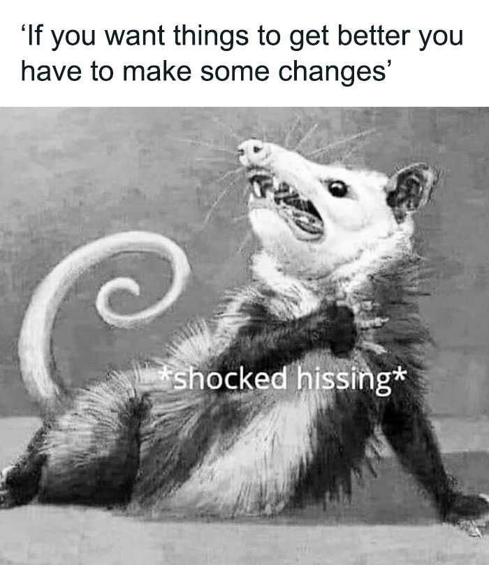 Black and white photo of a shocked opossum with caption about change, a funny and comforting mental health meme.
