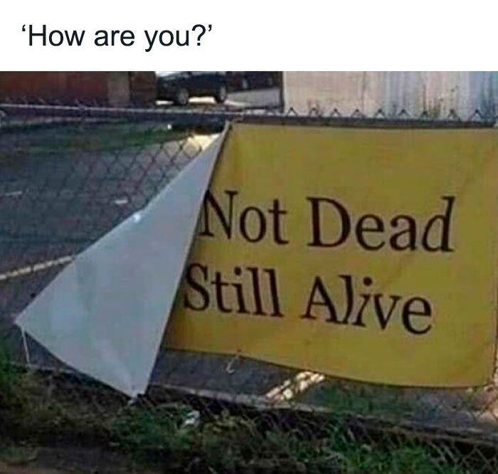 Funny and weirdly comforting mental health meme showing a sign that says Not Dead Still Alive behind a fence.