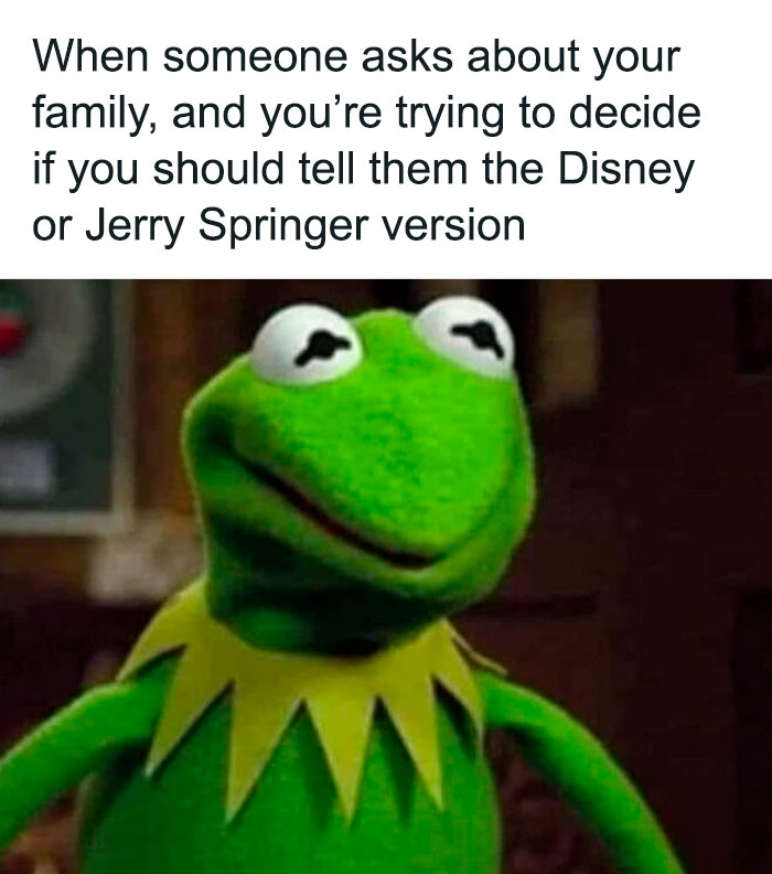 Meme featuring Kermit the Frog with text about choosing how to describe family, related to mental health memes.