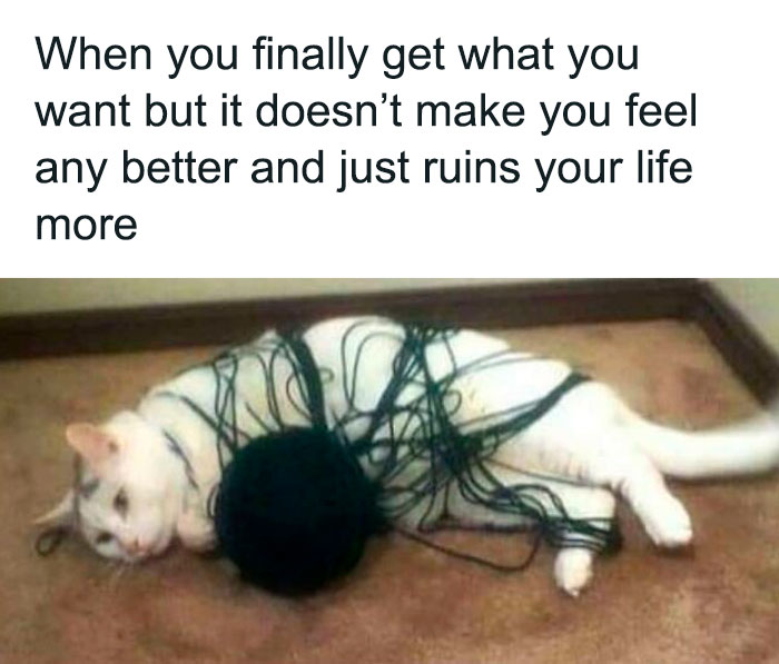 Cat tangled in yarn with text about wanting something that ruins your life, illustrating funny mental health memes.