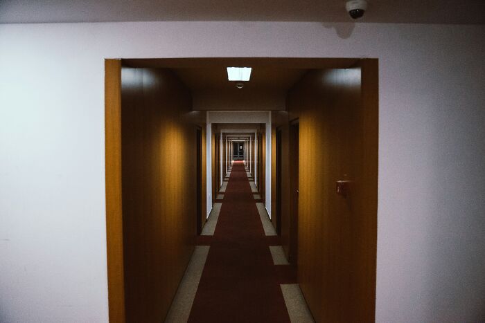 Dimly lit underground corridor with wood-paneled walls and a red carpet stretching into the distance.