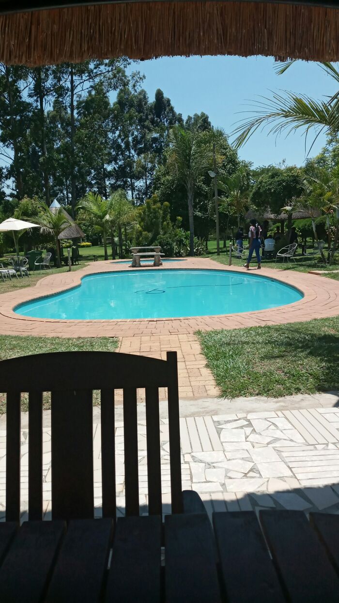 View from shaded patio of a poolside area surrounded by trees and greenery, evoking travel to the Bahamas.