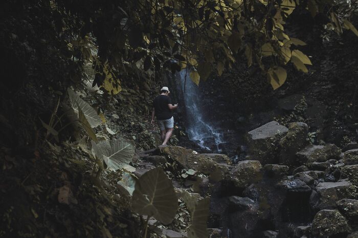 Person standing near a waterfall in dense forest, symbolizing unexplained mysteries from the dawn of the internet.