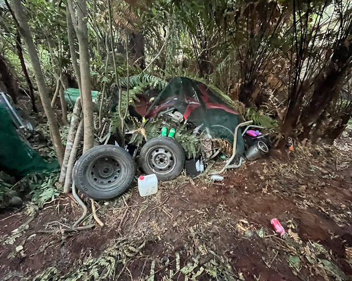 Abandoned vehicle wreckage in forest linked to mom of 3 missing kids involved in DUI court case.