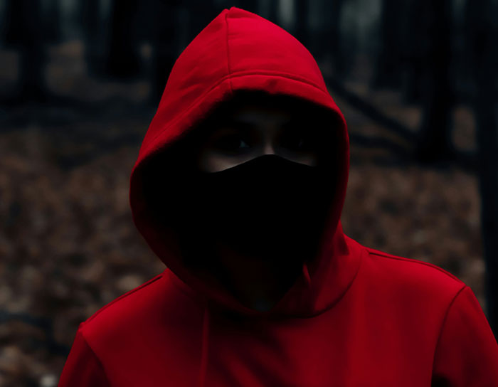 Person wearing red hoodie and black mask standing in a dark forest, representing TikTok moms discussing hated professions.