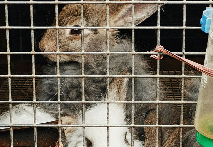 Someone Asks "What's A Profession That Deserves Every Bit Of Its Hatred?” And 43 People Don’t Hold Back