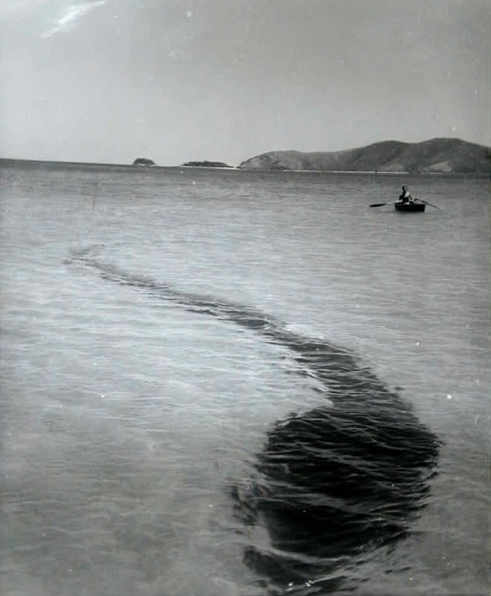 Man rowing a small boat near a mysterious dark shape in the water, a photo that seems normal until the mystery is known.