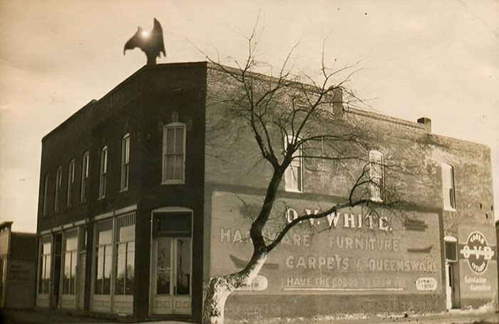 Vintage photo of a corner building with a bare tree, showing mysteries behind photos that seem normal at first glance.