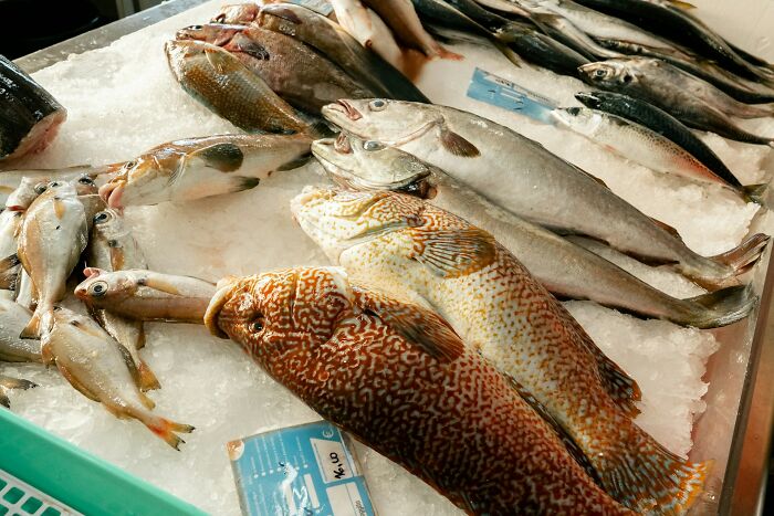 Fresh fish displayed on ice at a seafood market, highlighting potential restaurant health violations by inspectors.