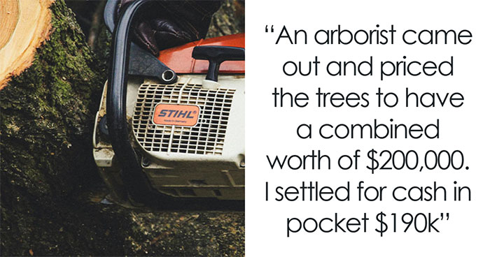 Neighbor Demands $2K After Illegally Cutting Down Two Trees, Ends Up Paying $190K Instead