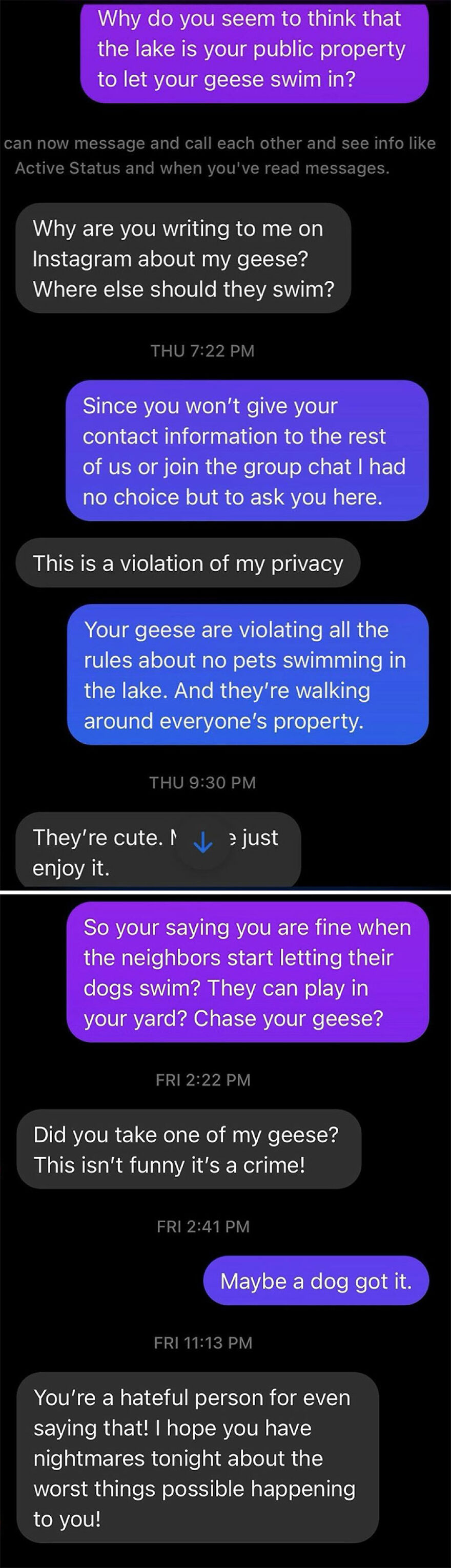 Text message exchange about geese swimming in a lake and disputes between neighbors in a remote area with no neighbors.