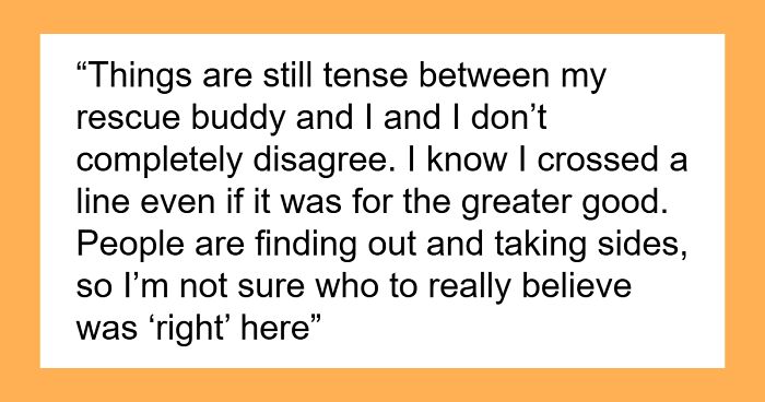 Lady “Kidnaps” Cat And Neuters It, Shocked Pet Owners Wreck Her Reputation Online