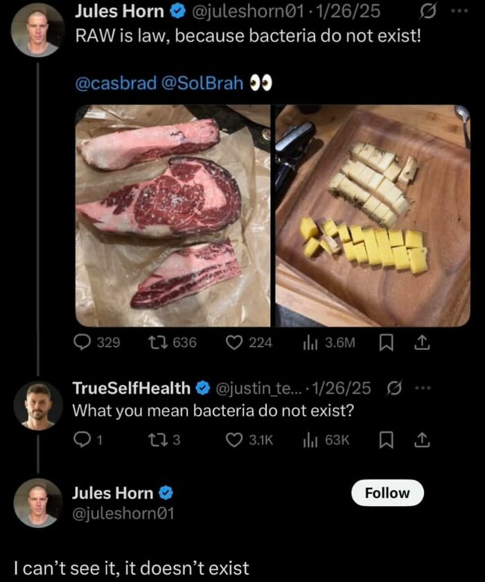 Twitter conversation showing an absurd scientific take denying bacteria exist, with images of raw meat and cheese.