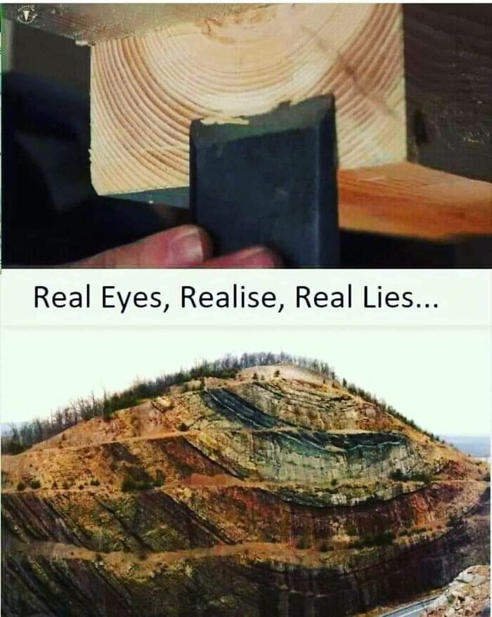 Hand holding a black rectangular object with tree rings and a layered mountain showing absurd scientific takes about modern society.