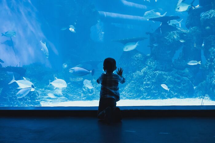 Toddler watches colorful fish through large aquarium glass, illustrating creative parenting hacks that save sanity and engage children.