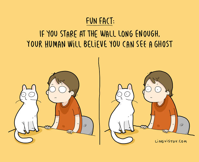 Cat owner and cat in comic strip staring at the wall, illustrating relatable moments for cat owners in fun comics.