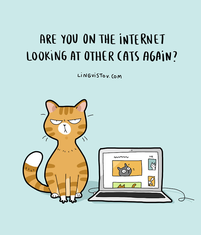 Cartoon of a grumpy cat sitting beside a laptop showing cat images, illustrating relatable fun comics for cat owners.