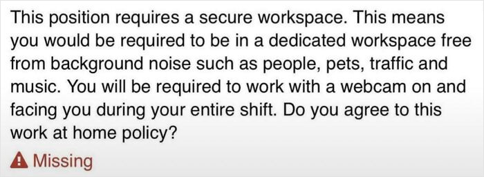 Screenshot of a work-from-home policy requiring a secure, quiet workspace and constant webcam use, highlighting parts of working in 2025 that are a nightmare.