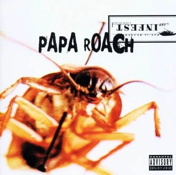 Close-up of a blurry insect on an album cover considered one of the worst album covers by critics.