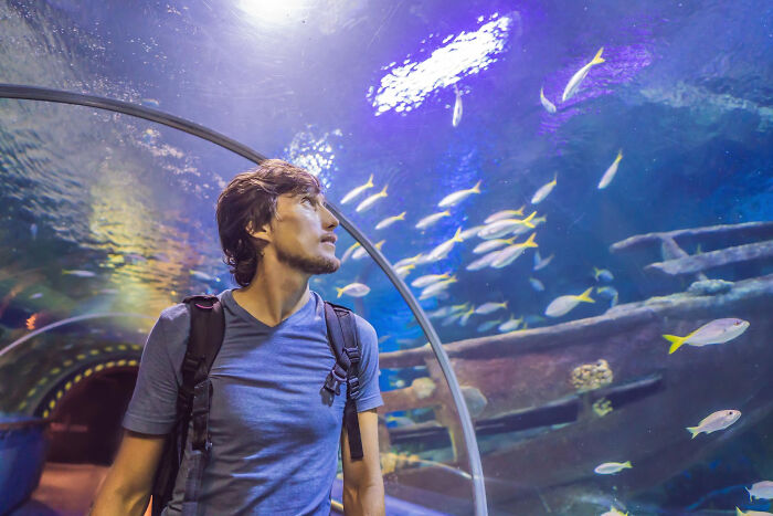 Man with backpack observing fish in an aquarium tunnel.
