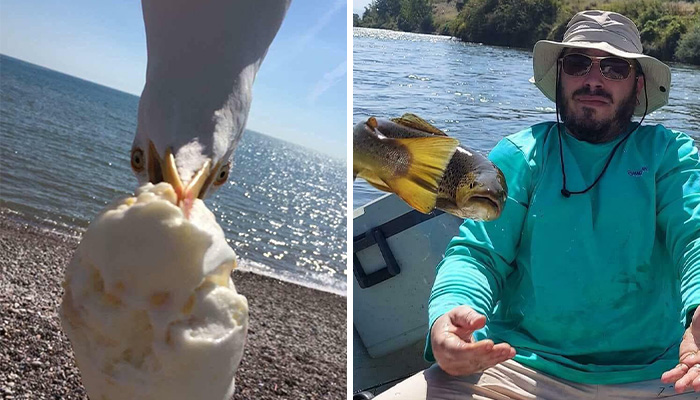 50 Times People Tried To Take A Pic And Ended Up With A Way Better Shot Than They Expected