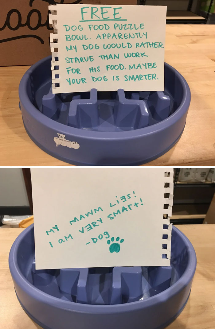 Blue dog food puzzle bowl with handwritten signs joking about a dog's stubbornness and pet owner shaming online.