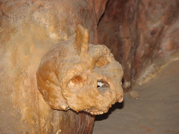 Petralona Man skull fossil embedded in cave wall, ancient anthropological find puzzling experts after new study.