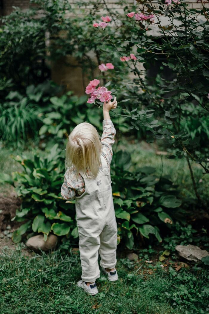 Child in overalls reaching for pink flowers in garden, capturing unbelievable moments that are actually true.