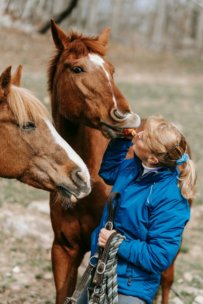 Woman feeding horses outdoors, illustrating unique jobs serving ultra-wealthy people and their lifestyle needs.