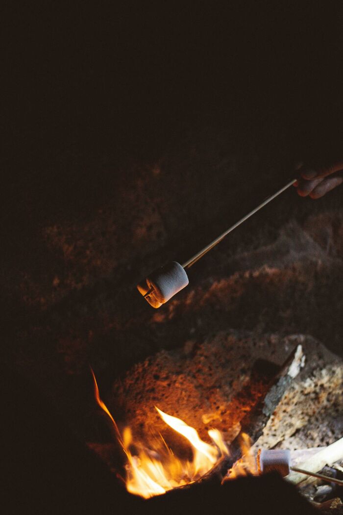 Toasting marshmallows over a campfire in the dark woods, setting the scene for creepy stories.