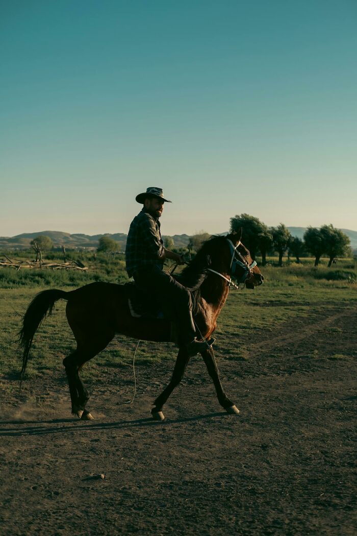 Man wearing cowboy hat riding horse alone in open field, evoking creepy encounters in the woods theme.