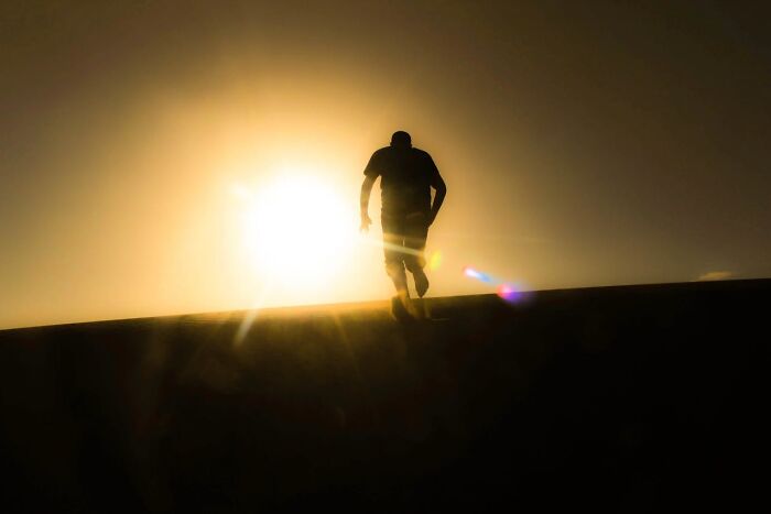 Silhouette of a person walking towards bright sunlight, symbolizing moments when people got fired due to their own mistakes.
