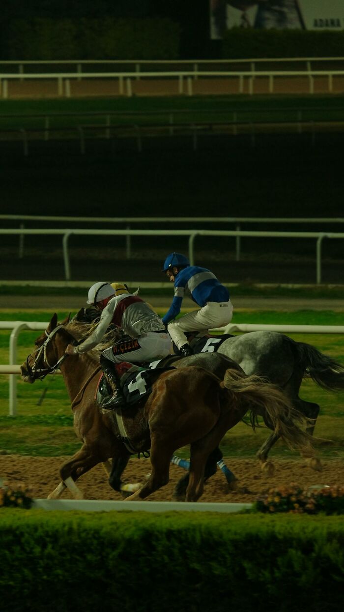 Two jockeys racing horses on a track at night, capturing intensity and competition in a dynamic moment.