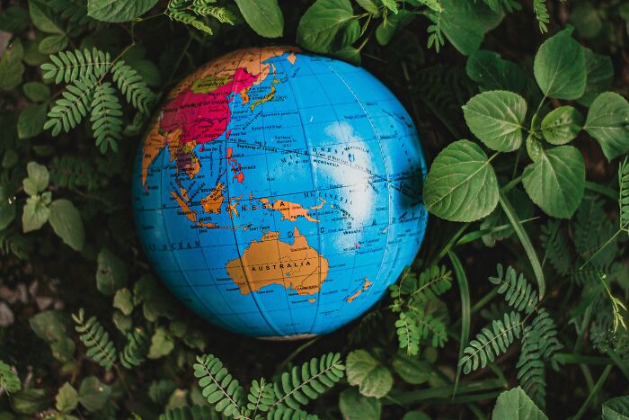 Globe showing country names surrounded by green leaves, focusing on decoding country names in other languages.